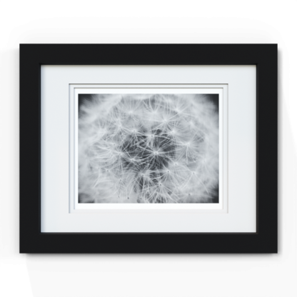 Dandelion Dreams - Image 2